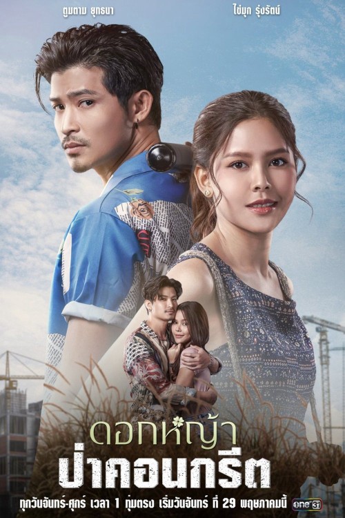 A Wildflower in the City 2023