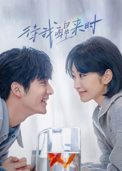 Đợi Khi Tôi Tỉnh Lại 2025