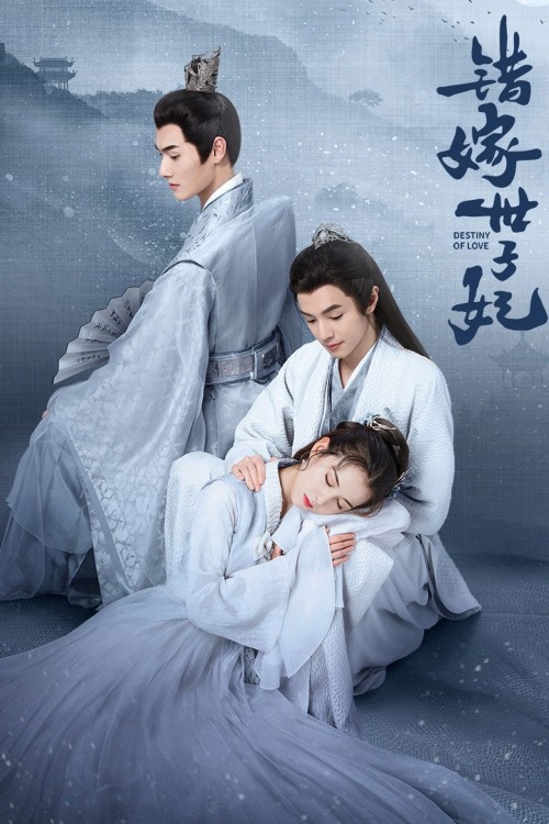 Gả Nhầm Thế Tử Phi 2025