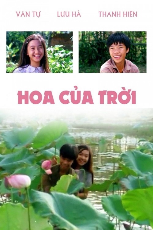 Hoa Của Trời 1995