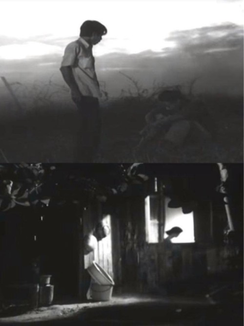 Khoảng Cách Còn Lại 1981