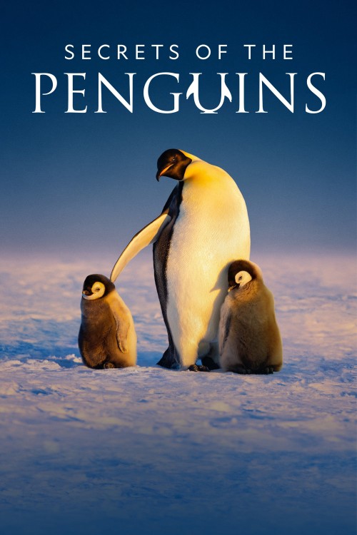 Secrets of the Penguins 2025